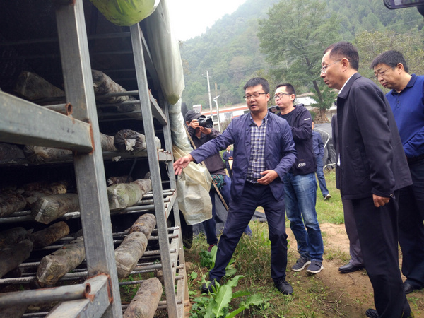 奥马官网地址